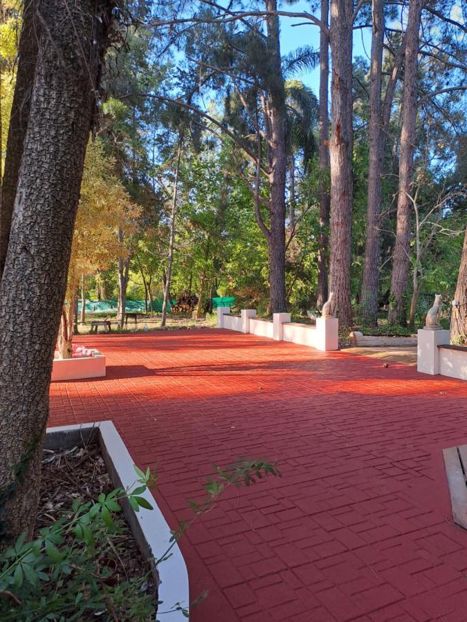 Casa Eden Exclusiva Y Comoda Casona De Descanso A Tan Solo 1 Hora De Bs As Villa Tigre Esterno foto